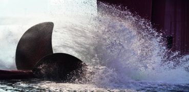 Dry Bulk Operating